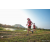 Team 76 / Raid Amazones Sri Lanka 2022 - J6 Trail