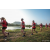Team 79 / Raid Amazones Sri Lanka 2022 - J6 Trail