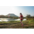 Team 310 / Raid Amazones Sri Lanka 2022 - J6 Trail