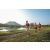 Team 319 / Raid Amazones Sri Lanka 2022 - J6 Trail