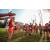 Team 310 / Raid Amazones Sri Lanka 2022 - J6 Trail