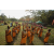 Raid Amazones Sri Lanka 2022 - J6 Trail