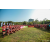 Raid Amazones Sri Lanka 2022 - J6 Trail
