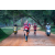 Team 78 / Raid Amazones Sri Lanka 2022 - J6 Trail