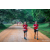 Team 27 / Raid Amazones Sri Lanka 2022 - J6 Trail