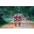 Team 19 / Raid Amazones Sri Lanka 2022 - J6 Trail