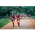 Team 19 / Raid Amazones Sri Lanka 2022 - J6 Trail