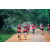 Team 83 / Raid Amazones Sri Lanka 2022 - J6 Trail