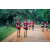Team 83 / Raid Amazones Sri Lanka 2022 - J6 Trail