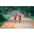 Team 26 / Raid Amazones Sri Lanka 2022 - J6 Trail