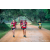 Team 60 / Raid Amazones Sri Lanka 2022 - J6 Trail