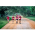 Team 67 / Raid Amazones Sri Lanka 2022 - J6 Trail