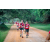 Team 40 / Raid Amazones Sri Lanka 2022 - J6 Trail