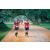 Team 45 / Raid Amazones Sri Lanka 2022 - J6 Trail