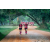 Team 29 / Raid Amazones Sri Lanka 2022 - J6 Trail