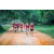 Team 14 / Raid Amazones Sri Lanka 2022 - J6 Trail