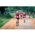 Team 63 / Raid Amazones Sri Lanka 2022 - J6 Trail