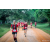 Team 63 / Raid Amazones Sri Lanka 2022 - J6 Trail
