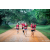 Team 58 / Raid Amazones Sri Lanka 2022 - J6 Trail