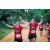 Team 81 / Raid Amazones Sri Lanka 2022 - J6 Trail