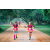 Team 75 / Raid Amazones Sri Lanka 2022 - J6 Trail