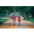 Team 56 / Raid Amazones Sri Lanka 2022 - J6 Trail