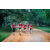 Team 62 / Raid Amazones Sri Lanka 2022 - J6 Trail