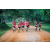 Team 53 / Raid Amazones Sri Lanka 2022 - J6 Trail