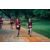 Team 07 / Raid Amazones Sri Lanka 2022 - J6 Trail