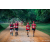 Team 76 / Raid Amazones Sri Lanka 2022 - J6 Trail