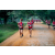 Team 85 / Raid Amazones Sri Lanka 2022 - J6 Trail