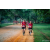 Team 25 / Raid Amazones Sri Lanka 2022 - J6 Trail