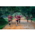 Team 93 / Raid Amazones Sri Lanka 2022 - J6 Trail