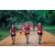 Team 320 / Raid Amazones Sri Lanka 2022 - J6 Trail