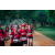 Team 303 / Raid Amazones Sri Lanka 2022 - J6 Trail