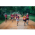 Team 319 / Raid Amazones Sri Lanka 2022 - J6 Trail