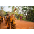 Raid Amazones Sri Lanka 2022 - J6 Trail