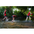 Team 83 / Raid Amazones Sri Lanka 2022 - J6 Trail
