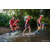 Team 57 / Raid Amazones Sri Lanka 2022 - J6 Trail