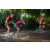 Team 14 / Raid Amazones Sri Lanka 2022 - J6 Trail