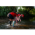 Team 16 / Raid Amazones Sri Lanka 2022 - J6 Trail