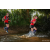 Team 33 / Raid Amazones Sri Lanka 2022 - J6 Trail