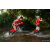 Team 335 / Raid Amazones Sri Lanka 2022 - J6 Trail