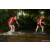 Team 87 / Raid Amazones Sri Lanka 2022 - J6 Trail
