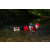 Team 22 / Raid Amazones Sri Lanka 2022 - J6 Trail