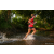 Team 01 / Raid Amazones Sri Lanka 2022 - J6 Trail