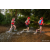 Team 308 / Raid Amazones Sri Lanka 2022 - J6 Trail
