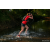 Team 310 / Raid Amazones Sri Lanka 2022 - J6 Trail