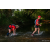 Team 310 / Raid Amazones Sri Lanka 2022 - J6 Trail