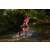 Team 335 / Raid Amazones Sri Lanka 2022 - J6 Trail